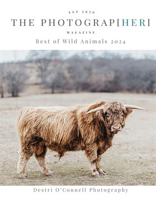 Best of Wild Animals 2024