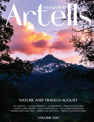 Publication preview