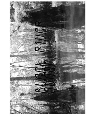 BLACK RIVER SWAMP