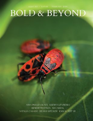 Bold & Beyond Nature (Issue 787 February 2026)