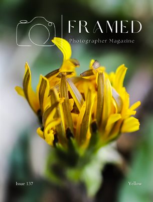 Framed Photographer Magazine, Issue 137