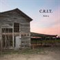 C.R.I.T. Issue 4 Spring 2013