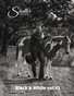 Issue #165 - Black & White vol 1