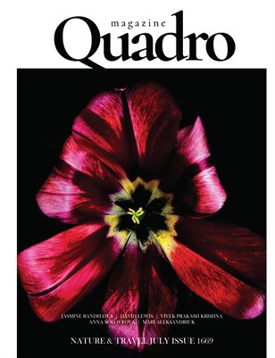 Publication preview