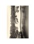 Anonymous Photographs