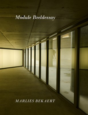 Marlies Bekaert beeldessay 2013