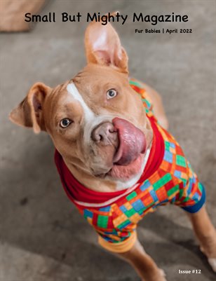 Small But Mighty Magazine | Fur Babies | Issue #12 | April 2022
