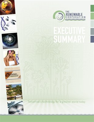 Executive Summary 082912V4