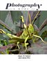 Issue 38 Nature