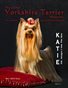 The Global Yorkshire Terrier Magazine - MAY 2019 issue