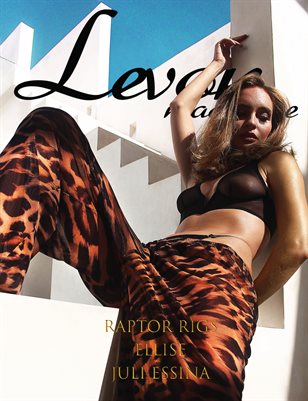 Publication preview