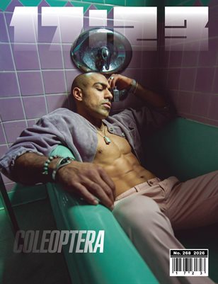 Publication preview