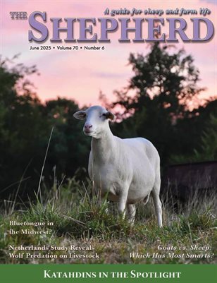 The Shepherd June 2025