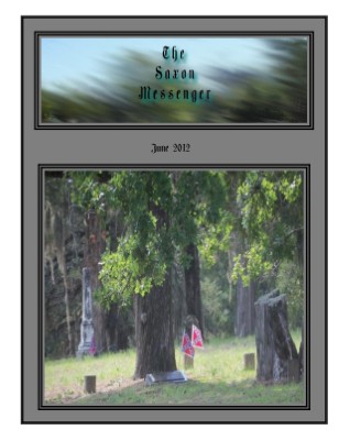 Publication preview