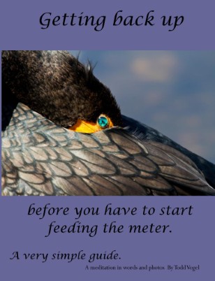 Getting Back on Your Feet