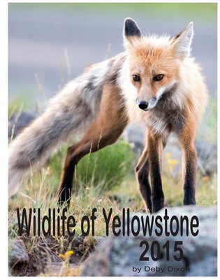 Wildlife of Yellowstone 2015