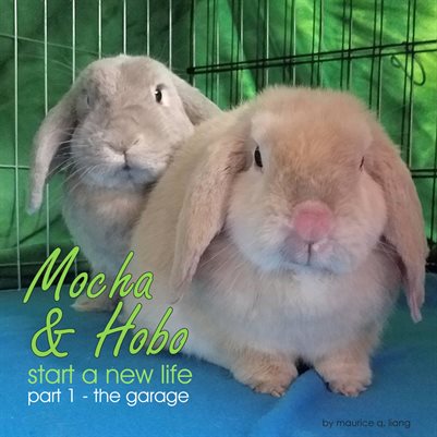 Mocha & Hobo Start A New Life