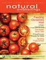 March 2013: Food & Garden
