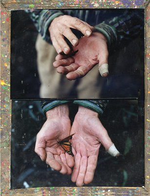 Jack Warms a Butterfly and Jerrond...