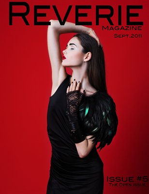 Issue 5: The Open Issue