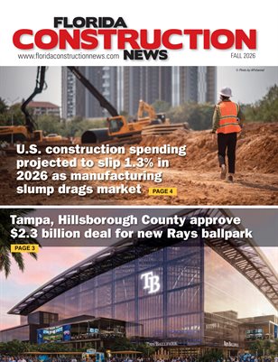 Publication preview