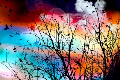 Late Afternoon