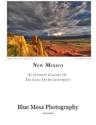 2010 Annual