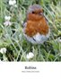 British Robins
