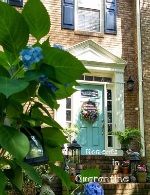 Moments in Quarantine