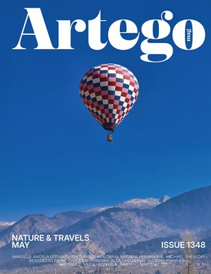 Publication preview