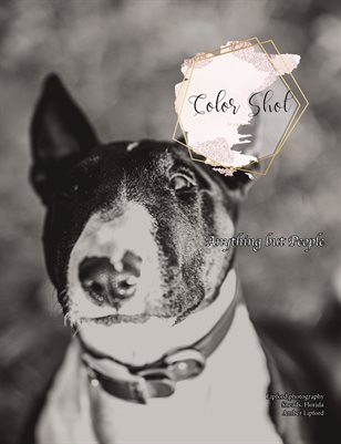 Issue #251 Anything But People 