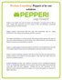 ProAxia Consulting: Pepperi at be one solutions