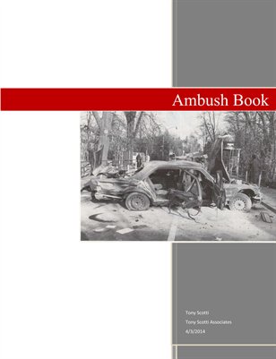 Ambush eBook