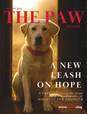 The PAW - JAN 2026