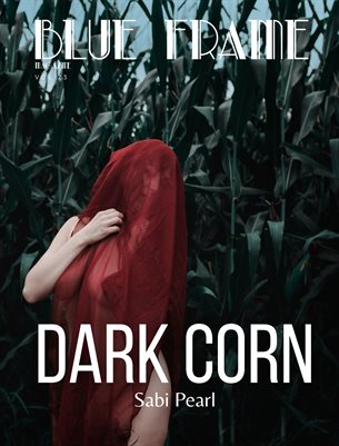 Blue Frame Magazine Volume 23 Featuring Sabi Pearl