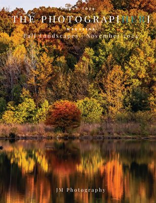 Fall Landscapes | November 2024