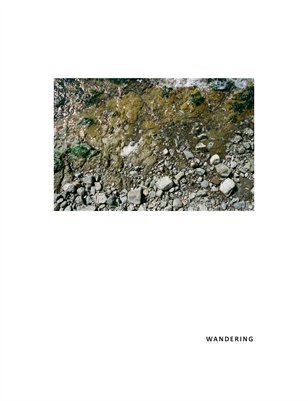 Wandering