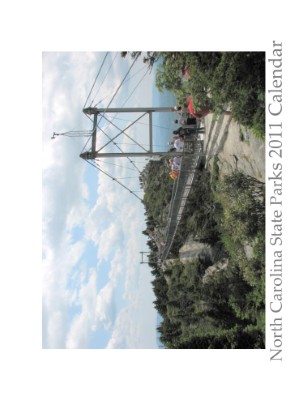 Publication preview