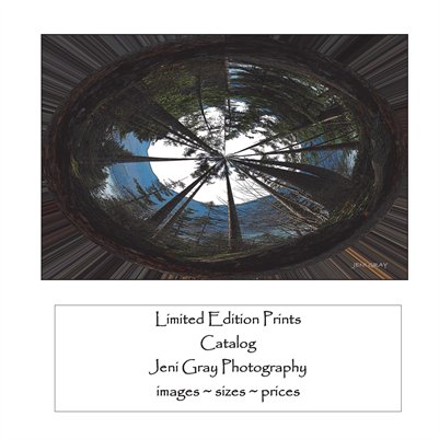 Limited Edition Catalog 