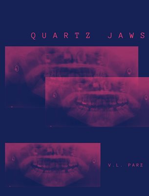 QUARTZ JAWS (2022)