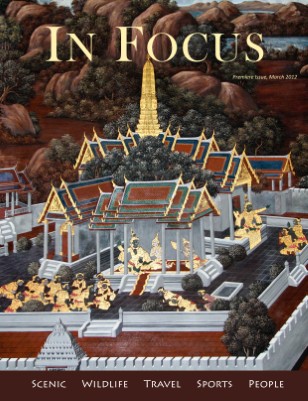 Publication preview