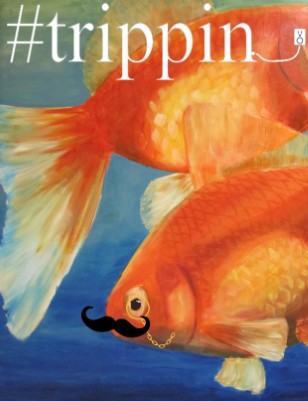 Publication preview