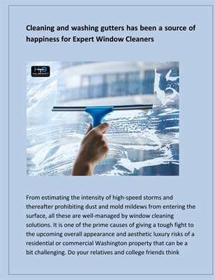 Expert Window Cleaners: Trusted Professional for Crystal-Clear Views