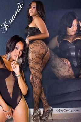 Kanndie's 12x18 Double Sided Poster/ 2013Calendar