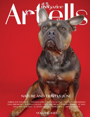 Publication preview