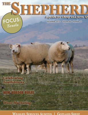 The Shepherd November 2015