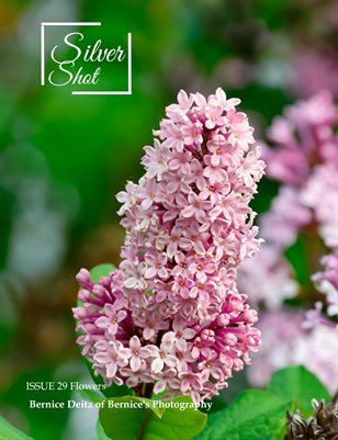 Publication preview