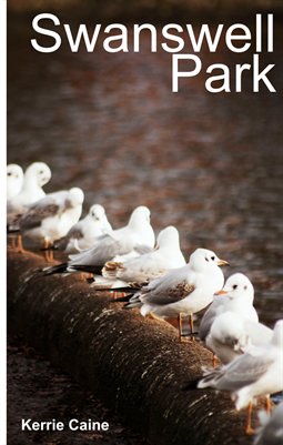 Swanswell Lake Photobook