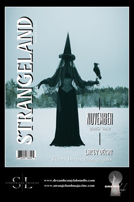 Issue 12 November 2025 Lacey Decay Poster