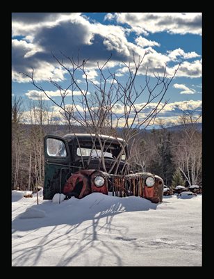 Beauty in the Boneyard